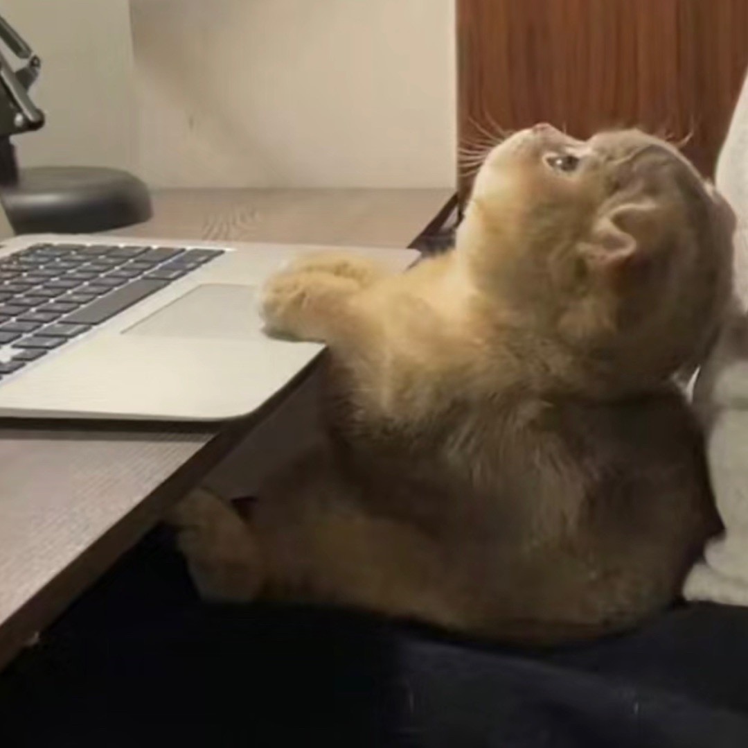 Hack烟雨的头像-Apibug